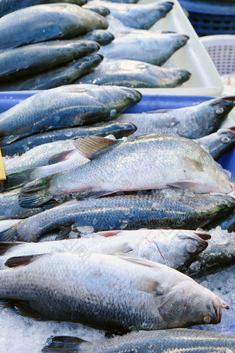 海鲜新鲜的澳洲肺<strong>鱼鱼</strong>当地的市场泰国