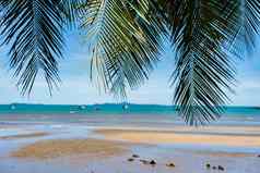 椰子树风景海滩蓝色的天空夏天假期
