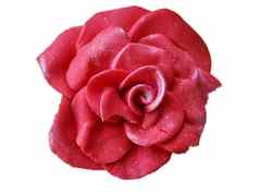 软焦点粉红色的口香糖粘贴糖果玫瑰隔离白色背景