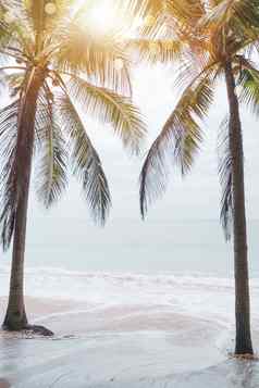 热带自然清洁海滩白色沙子夏天太阳光蓝色的天空散景背景
