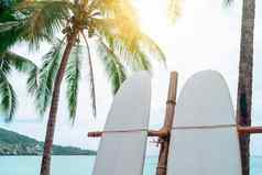 冲浪板椰子树夏天海滩太阳光蓝色的天空背景