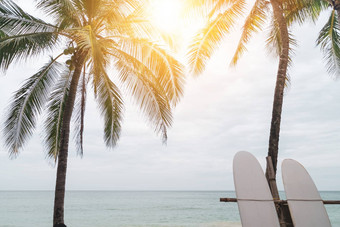 冲浪板<strong>椰子树夏天</strong>海滩太阳光蓝色<strong>的</strong>天空背景