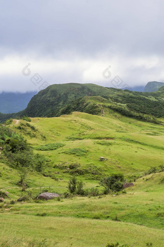 美丽的草原草原<strong>桃园</strong>谷caoling山