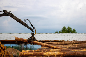 日志记录锯木厂操纵器<strong>加载</strong>木<strong>加载</strong>程序董事会日志作品背景狂风暴雨的天空