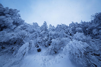 美丽的降雪<strong>梦幻</strong>冬天<strong>森林</strong>景观