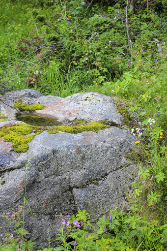 挪威景观大岩石山森林挪威自然hemsedal