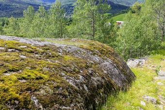 挪威景观大岩石山森林挪威自然hemsedal