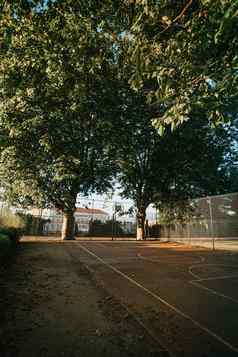 色彩斑斓的法院篮球街树