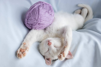 小白色<strong>小猫</strong>睡觉球淡紫色线程<strong>小猫</strong>玩下降了睡着了