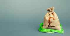 英国英镑英镑钱袋测量磁带计分析经济情况形成优化预算储蓄评估资本宣言收入非法