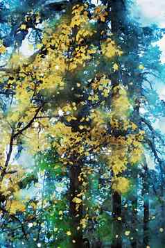 树秋天黄色的叶子秋天季节图像