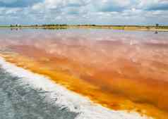咸海岸湖盐水红橙色由于特殊的藻类