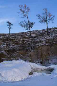 树冬天悬崖景观图像景观摄影