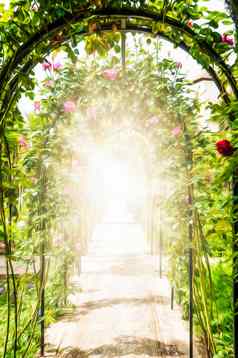 花花园拱门装饰玫瑰
