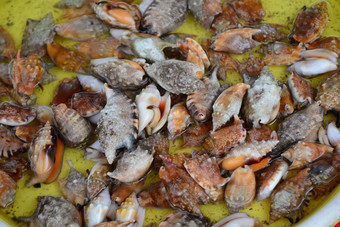 集团海螺出售新鲜的海鲜市场