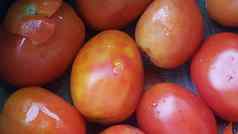 红色的西红柿超级市场出售
