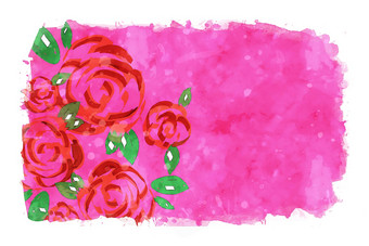 红色的玫瑰粉红色的水彩背景水彩绘画