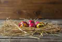 画复活节鸡蛋临时搭建的稻草巢木背景