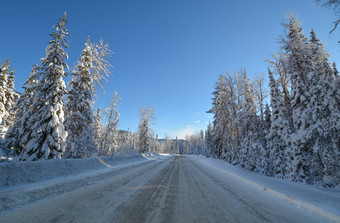 下了雪路冬天森林曼宁公园