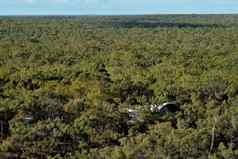 空中视图undara火山国家公园内地北昆士兰澳大利亚布什旅游公园建筑隐藏的树