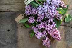 美丽的紫色的春天花礼物标签淡紫色花古董棕色（的）木乡村背景前视图平躺