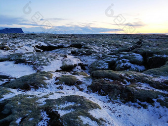 冬天景观冰岛场固化熔岩覆盖莫斯覆盖雪
