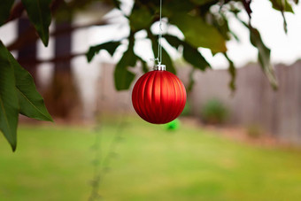 红色的圣诞节球装饰树