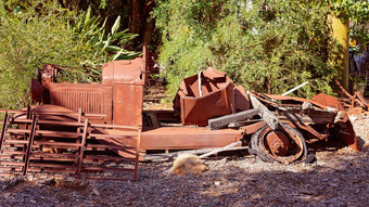 生锈的古董车被遗弃的森林
