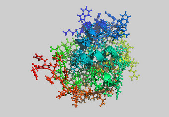 蛋白质<strong>分子</strong>模型原子