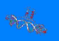 遗传材料分子模型原子