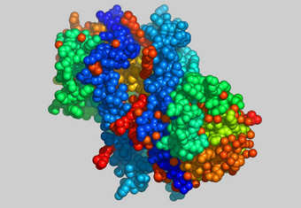 蛋白质<strong>分子</strong>模型原子