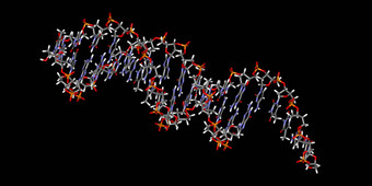 遗传材料<strong>分子</strong>模型原子