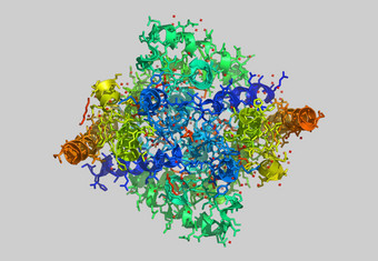 蛋白质分子<strong>模型</strong>原子