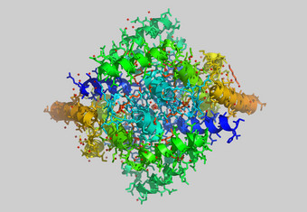 蛋白质分子<strong>模型</strong>原子