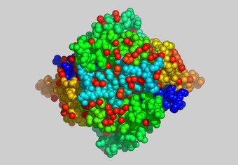 蛋白质分子<strong>模型</strong>原子