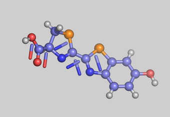 荧光素<strong>分子</strong>模型原子