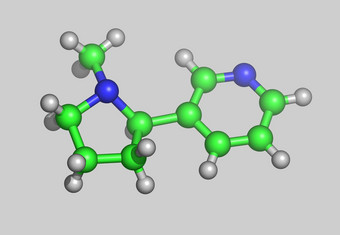 烟碱<strong>分子</strong>模型原子