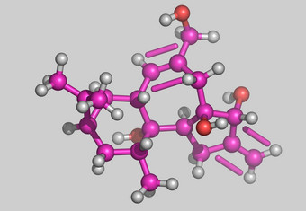 佛波醇<strong>分子</strong>模型原子