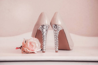 婚礼鞋子粉红色的穿高跟鞋的站女士们表格玫瑰花蕾