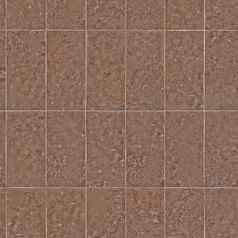 瓷砖使棕色（的）颜色变形表面浴室