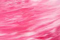 水彩摘要粉红色的纸纹理背景