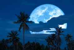 超级收获蓝色的月亮轮廓椰子树国家行业集团公司