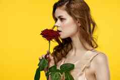 迷恋男人。女人红色的玫瑰黄色的背景裁剪视图特写镜头浪漫