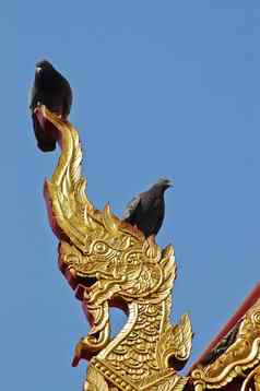 鸟前龙龙金雕像北部泰国寺庙