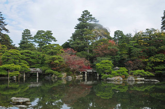 和平日本Zen花园池塘秋天