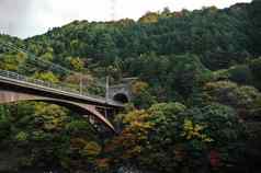 古老的浪漫的古董铁路深秋天森林日本