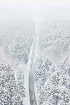 路雪覆盖白色森林深冬天风暴