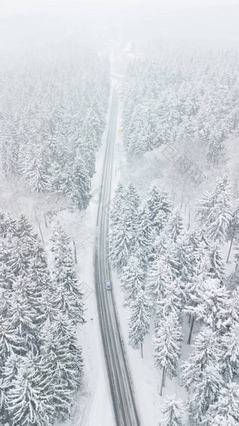 路雪覆盖白色森林深冬天风暴车街