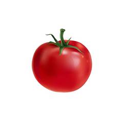 新鲜的红色的番茄白色背景