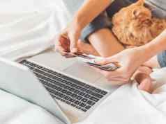 可爱的姜猫女人床上移动PC女人使在线订单支付信贷卡片在线购物早....睡觉前毛茸茸的宠物